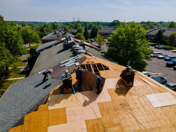 Best Storm Damage Roof Repair  in Sparta, GA
